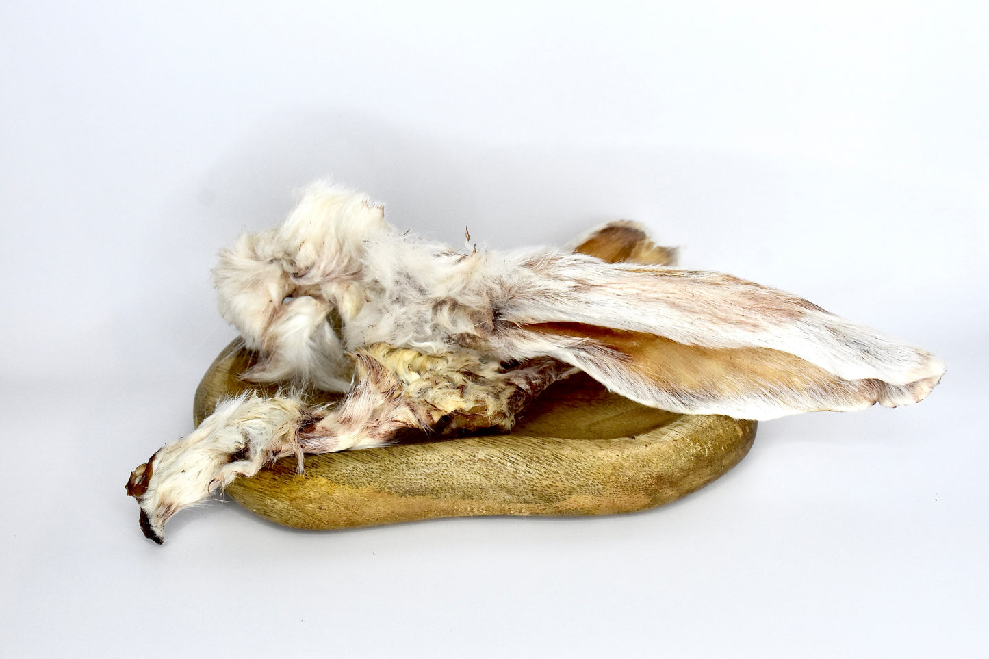 Oreilles de lapin avec poils