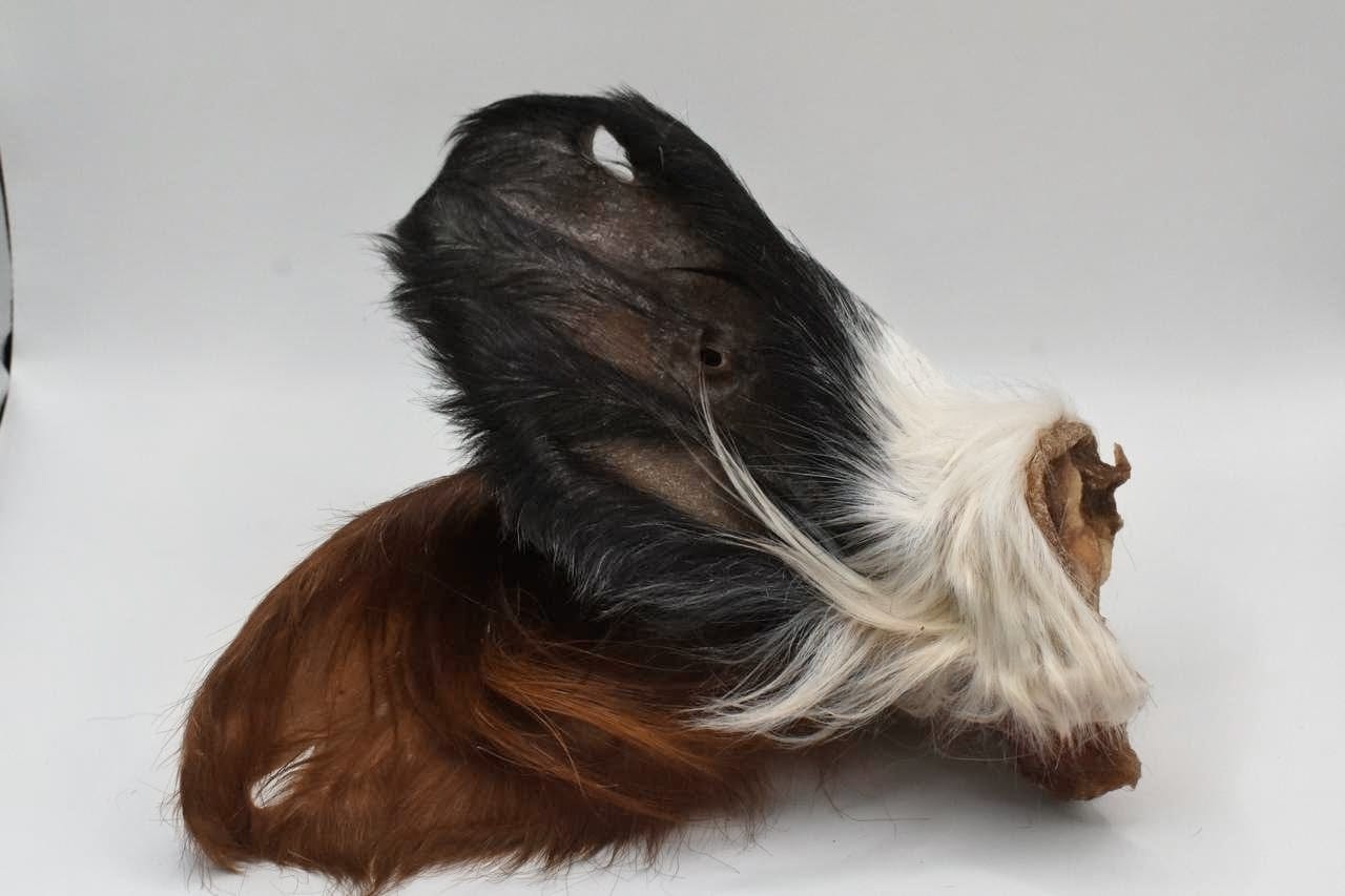 Oreilles de bœuf avec poils