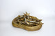 Anchois