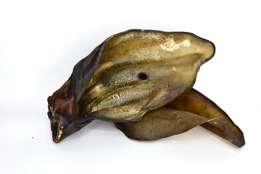 Oreilles de bœuf
